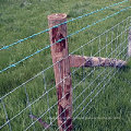 Vente directe d&#39;usine Galvanisé Farm Guard Field Fence Fend 8 pieds pour mouton / chèvre